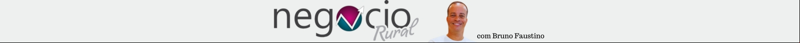 Fundo